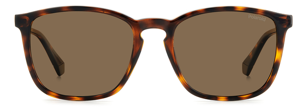 POLAROID-4139/S 086*SP HAVANA(BRONZE POLARIZED 54*19, Havana, hi-res 1